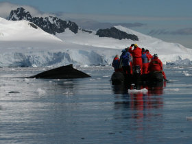 Antarctica cruise